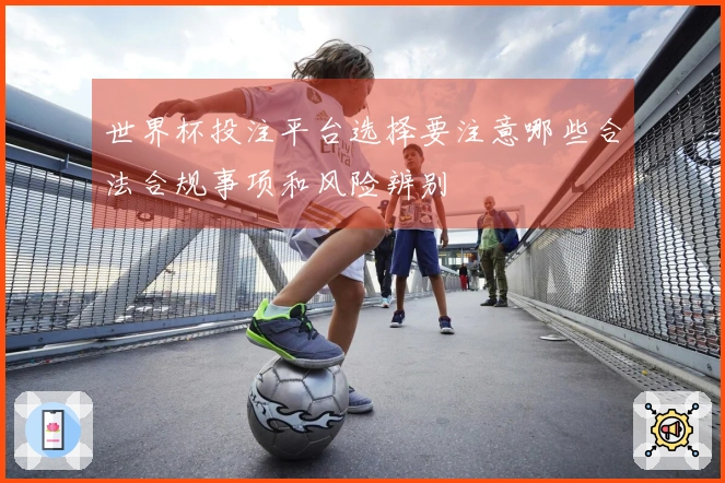 世界杯投注平台选择要注意哪些合法合规事项和风险辨别
