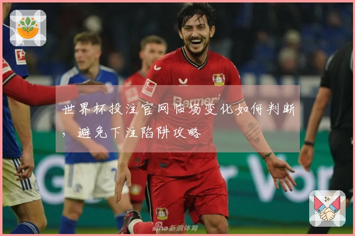 世界杯投注官网临场变化如何判断，避免下注陷阱攻略